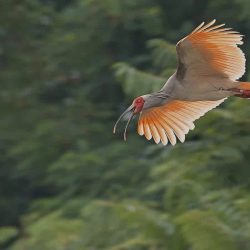 B054968F-FC30-4174-A7C3-D2F5C9069044_1_105_c