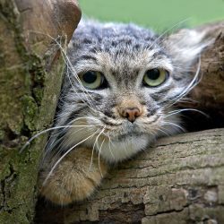 shutterstock_1614352606