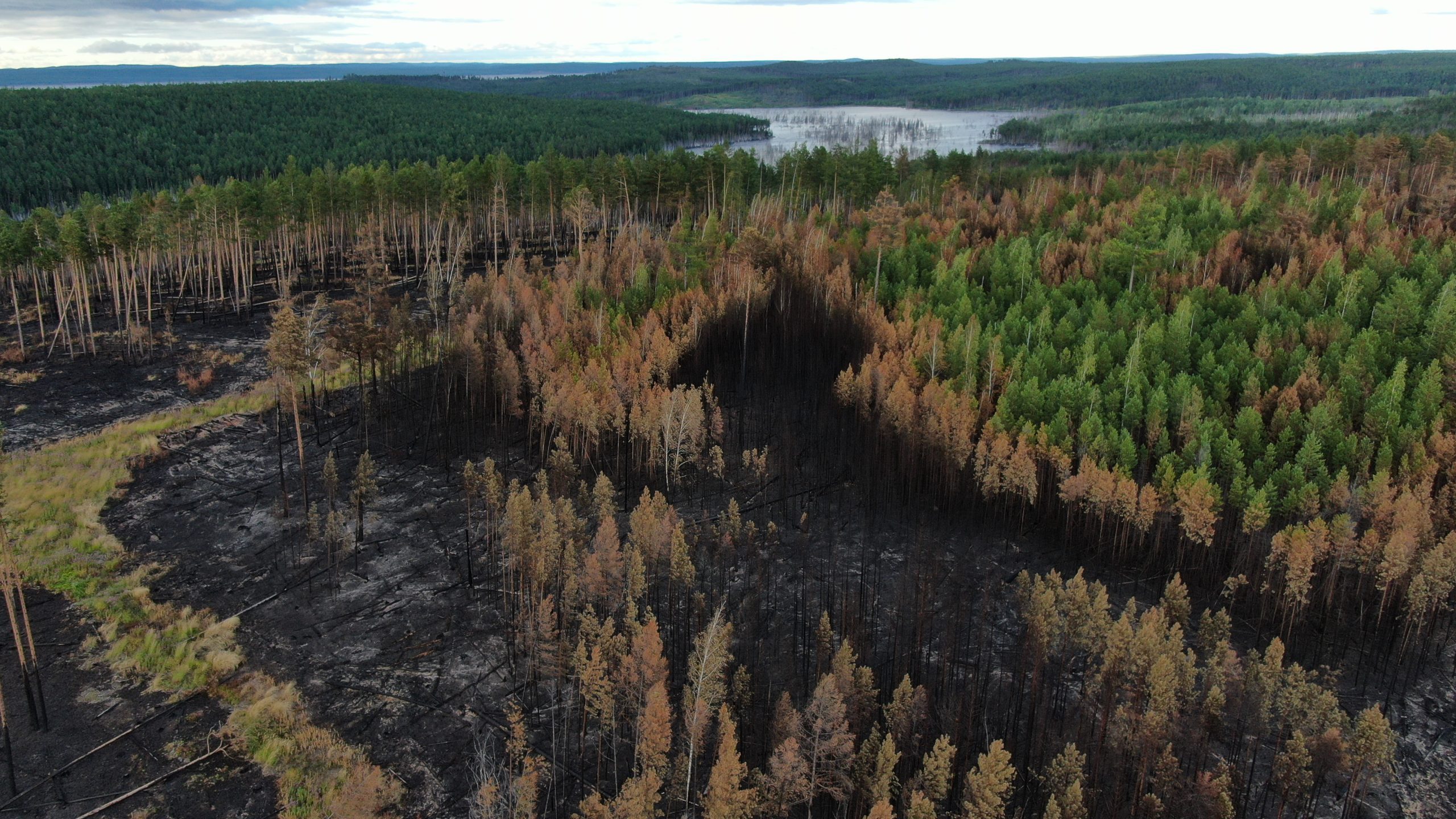Лесные пожары – практика без обобщения… - фото 3