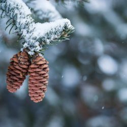 aaron-burden-h8BSdAr5H-I-unsplash