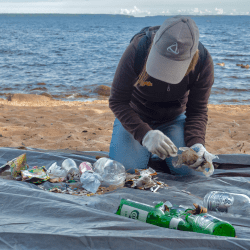 Снимок экрана 2025-06-02 в 17.52.17