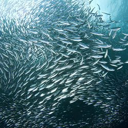 933642_55714-670x400x (1)