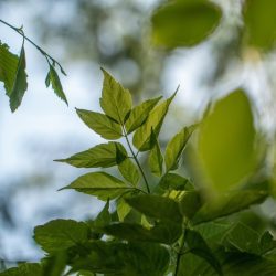 bbd274c0a9ca7033d6d5410785c53ffb