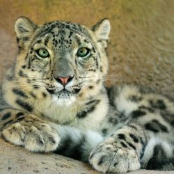 tom-spross-14g4koqiAU8-unsplash